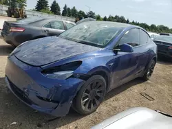 2023 Tesla Model Y en venta en Elgin, IL