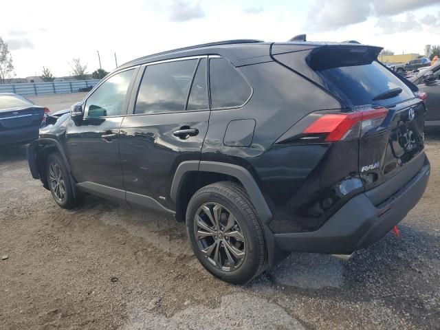 2024 Toyota Rav4 XLE Premium