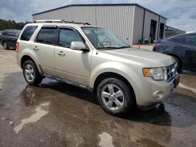 2011 Ford Escape Limited