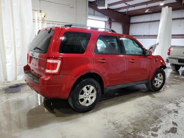 2011 Ford Escape Limited