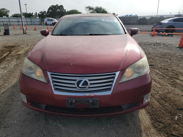 2010 Lexus ES 350