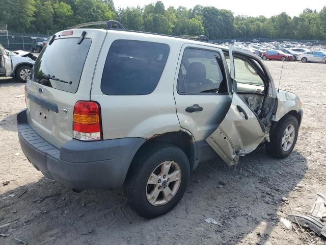 2006 Ford Escape XLT