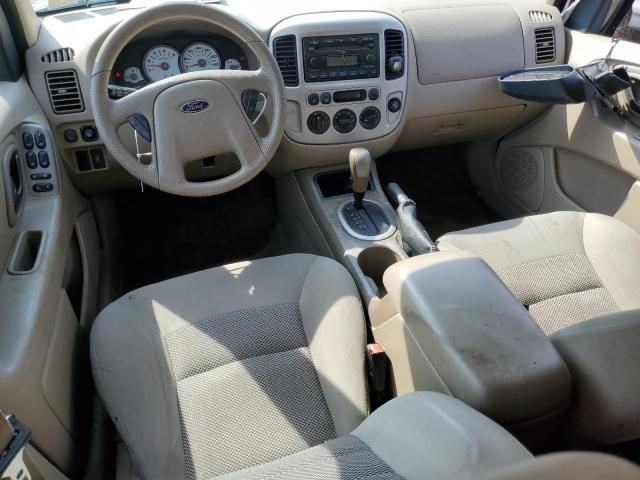 2006 Ford Escape XLT