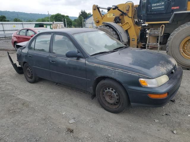 1996 Toyota Corolla DX