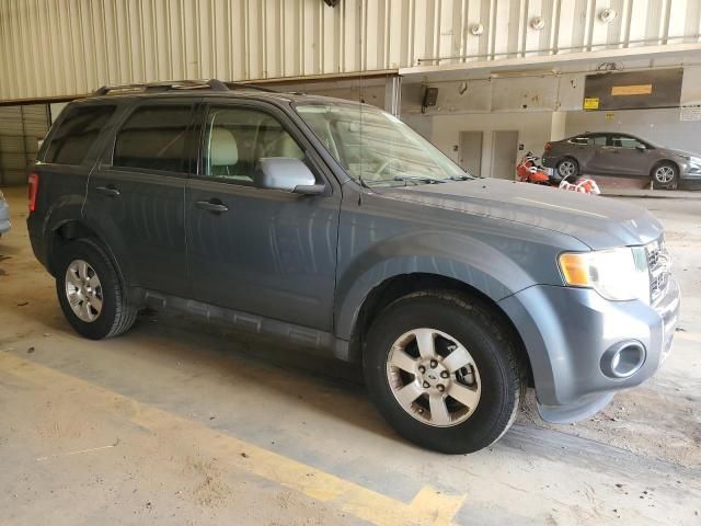 2011 Ford Escape Limited