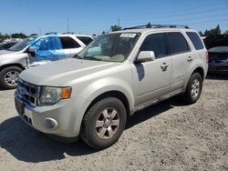 Ford Escape Limited salvage cars for sale: 2009 Ford Escape Limited