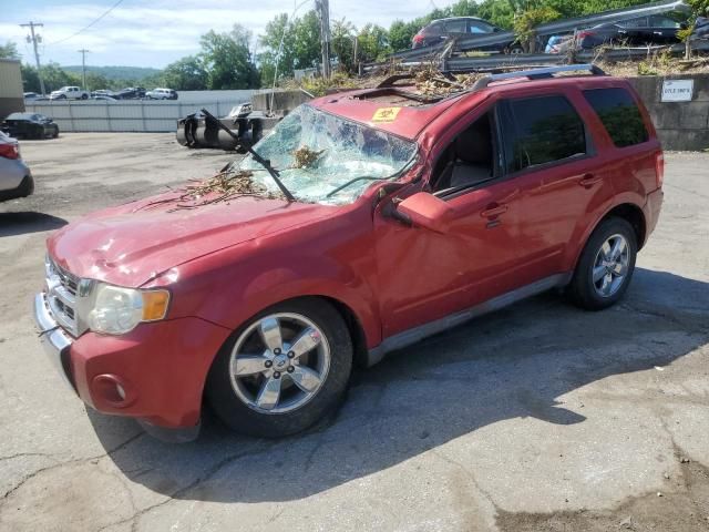 2011 Ford Escape Limited