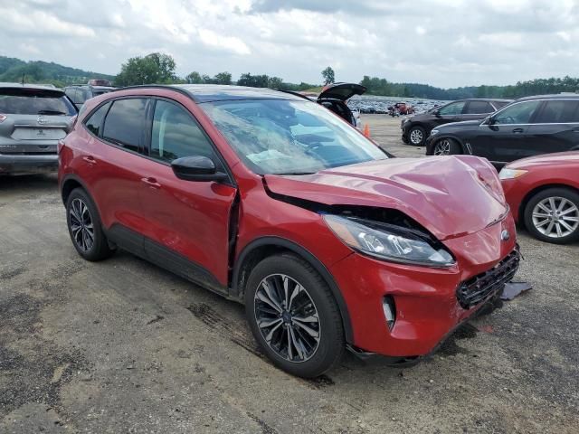 2021 Ford Escape SEL