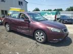 2008 Honda Accord EX