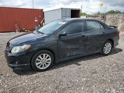 Toyota salvage cars for sale: 2010 Toyota Corolla Base