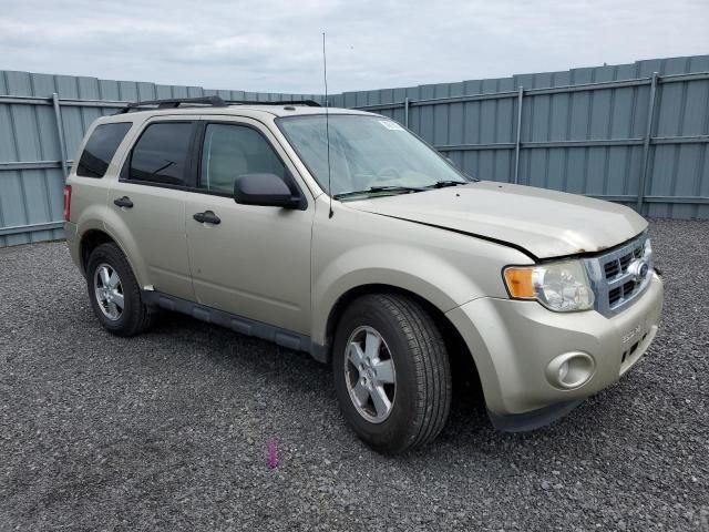 2012 Ford Escape XLT