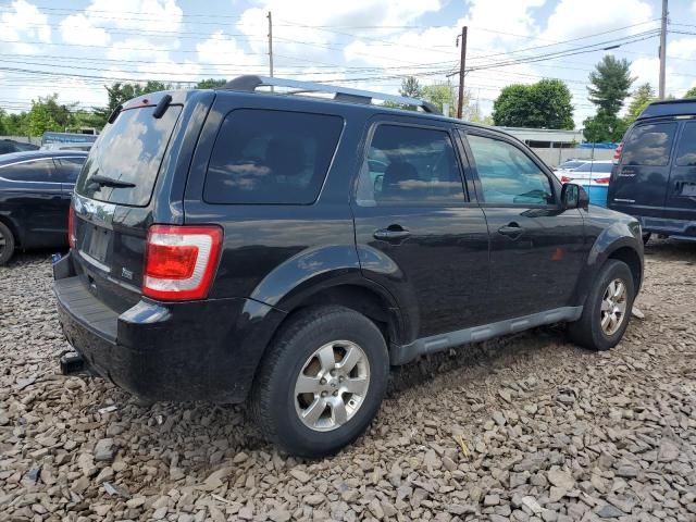 2011 Ford Escape Limited