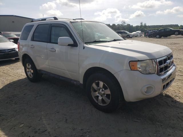 2011 Ford Escape Limited