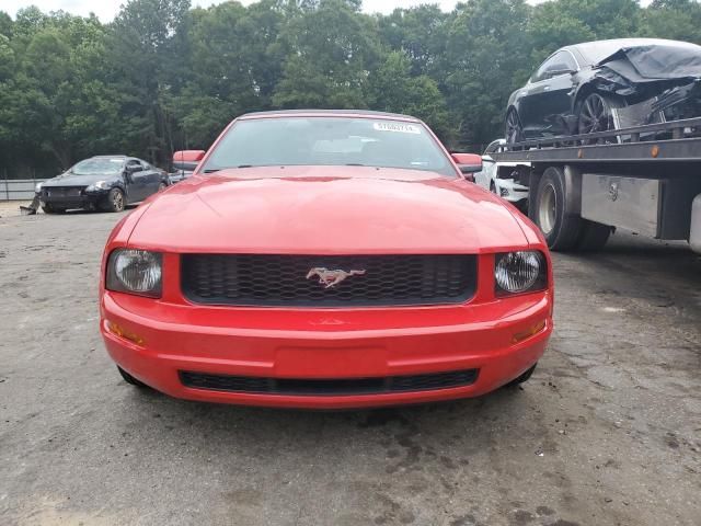 2005 Ford Mustang