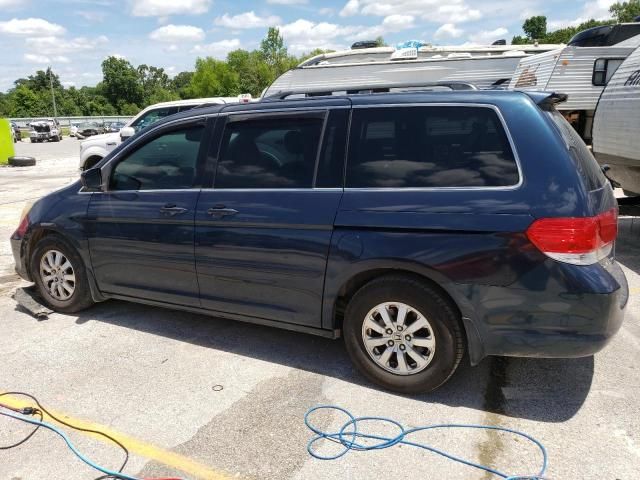 2010 Honda Odyssey EXL