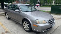 Salvage cars for sale at Bowmanville, ON auction: 2003 Nissan Maxima GLE