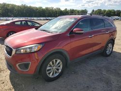 Salvage cars for sale at Conway, AR auction: 2017 KIA Sorento LX