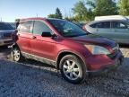 2007 Honda CR-V EX