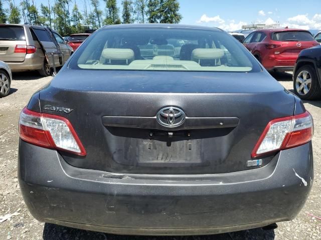 2009 Toyota Camry Hybrid