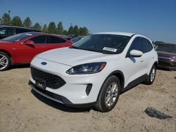 Salvage cars for sale at auction: 2020 Ford Escape SE