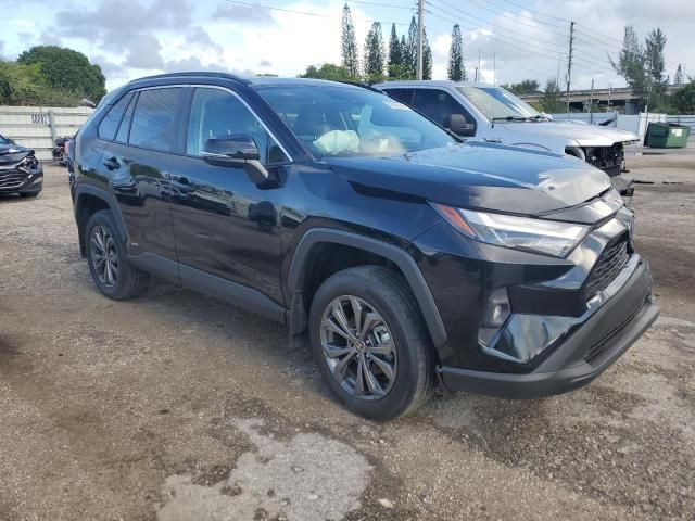 2024 Toyota Rav4 XLE Premium