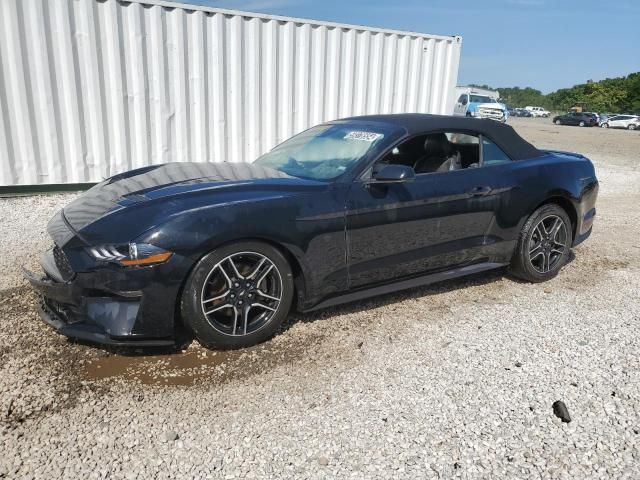 2021 Ford Mustang