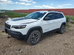 Vehiculos salvage en venta de Copart Rapid City, SD: 2020 Jeep Cherokee Trailhawk