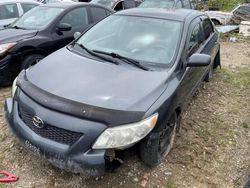 Toyota salvage cars for sale: 2009 Toyota Corolla Base