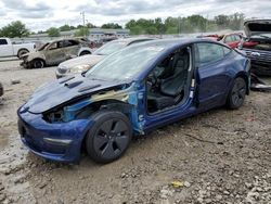 Salvage cars for sale at Louisville, KY auction: 2021 Tesla Model 3