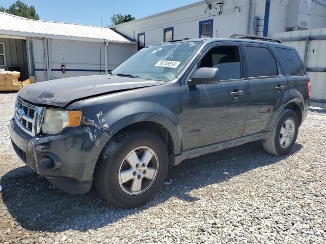 2009 Ford Escape XLT