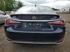 2022 Lexus ES 250 Base