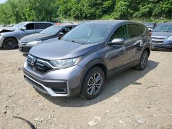 Salvage cars for sale at Marlboro, NY auction: 2020 Honda CR-V EX