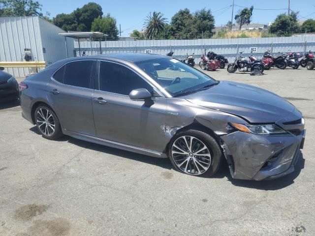 2019 Toyota Camry Hybrid