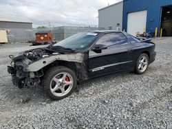 Salvage cars for sale at Elmsdale, NS auction: 1999 Pontiac Firebird Formula