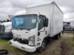 Salvage trucks for sale at Elgin, IL auction: 2019 Isuzu NPR HD