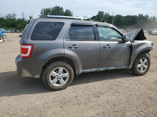 2011 Ford Escape Limited