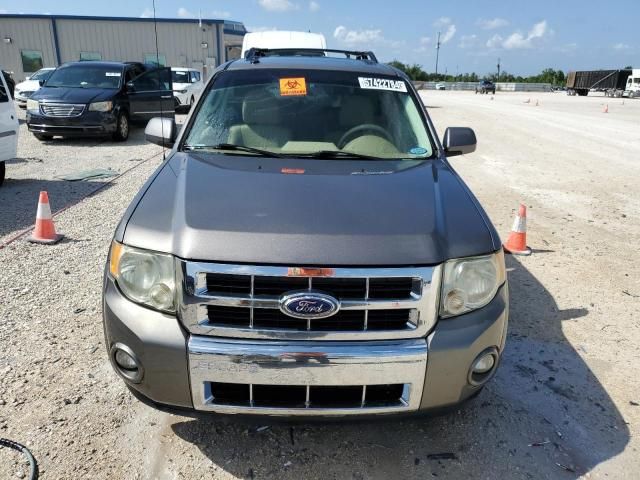 2011 Ford Escape Limited