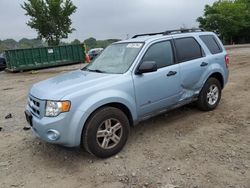 Ford Escape Hybrid Vehiculos salvage en venta: 2009 Ford Escape Hybrid