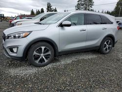 Salvage cars for sale from Copart Graham, WA: 2016 KIA Sorento EX