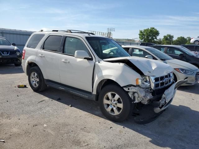 2011 Ford Escape Limited