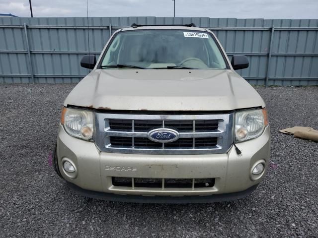 2012 Ford Escape XLT