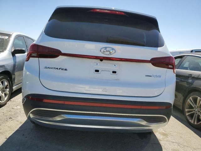 2023 Hyundai Santa FE SEL Premium