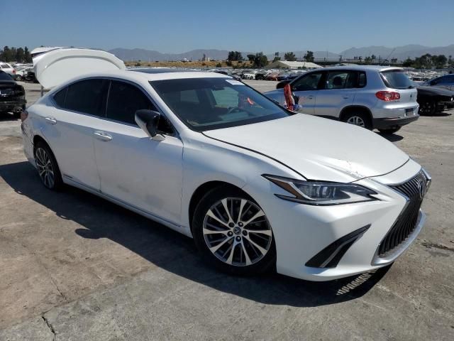 2021 Lexus ES 300H