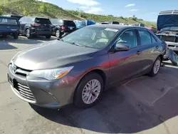 Toyota salvage cars for sale: 2016 Toyota Camry LE