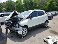 Ford salvage cars for sale: 2019 Ford Ecosport SE