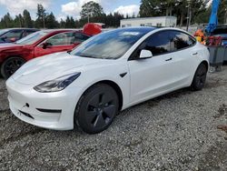 Salvage cars for sale from Copart Graham, WA: 2023 Tesla Model 3