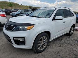 Salvage cars for sale from Copart Littleton, CO: 2011 KIA Sorento SX