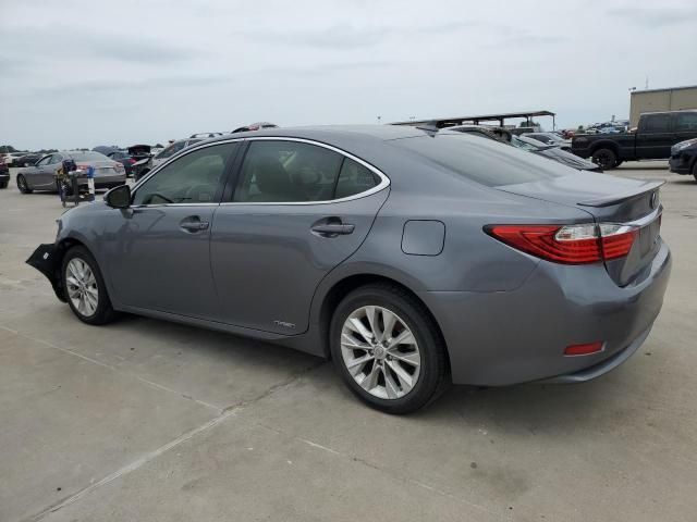 2013 Lexus ES 300H