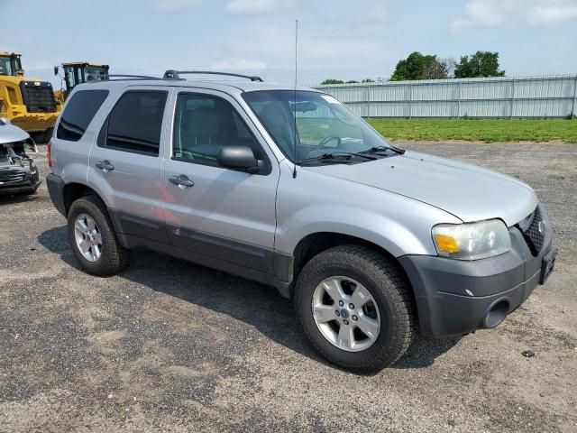 2006 Ford Escape XLT