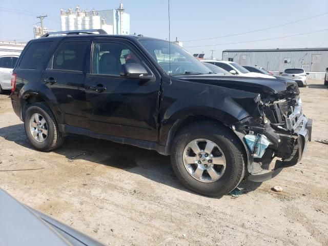 2011 Ford Escape Limited